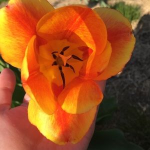 Meet your Posher, Theary